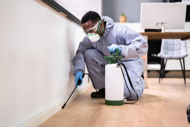 Best Pest Prevention Services  in Barnesville, OH